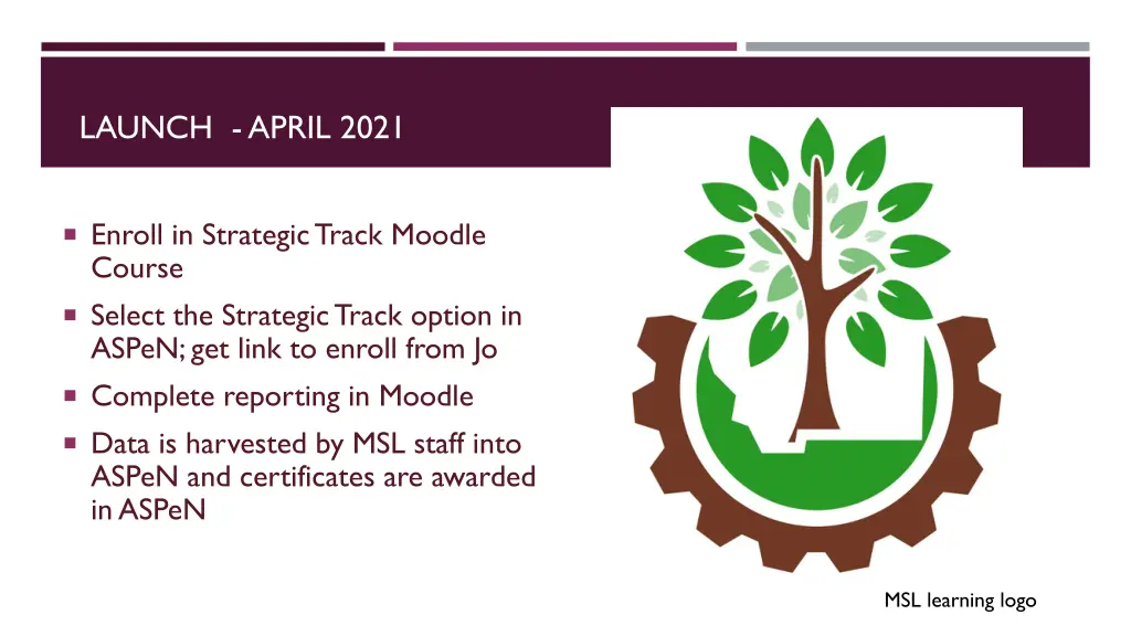 launch april 2021