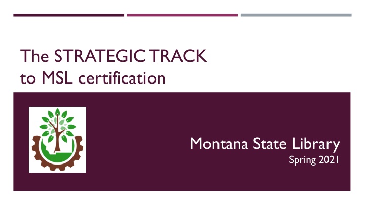 the strategic track to msl certification
