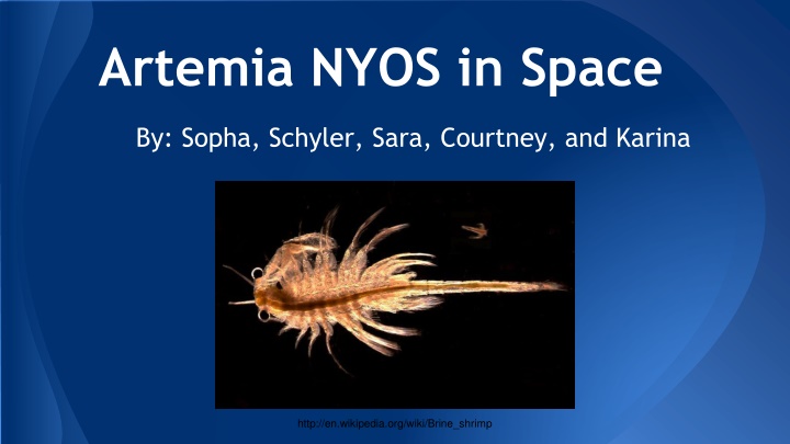 artemia nyos in space