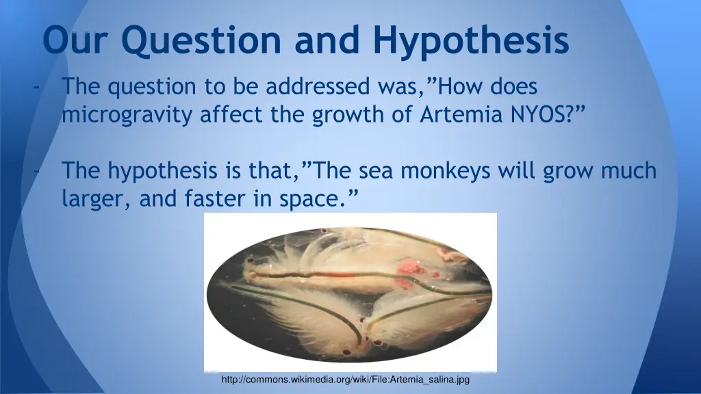 our question and hypothesis
