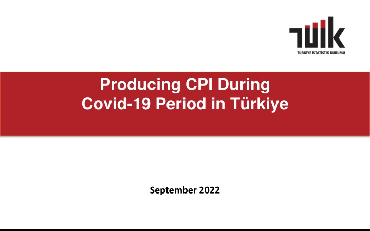 producing cpi during covid 19 period in t rkiye