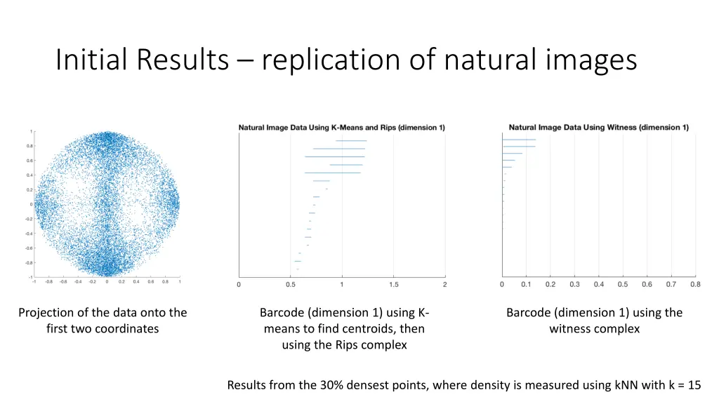 initial results replication of natural images