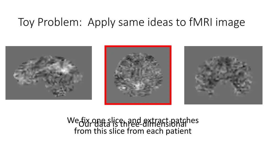 toy problem apply same ideas to fmri image