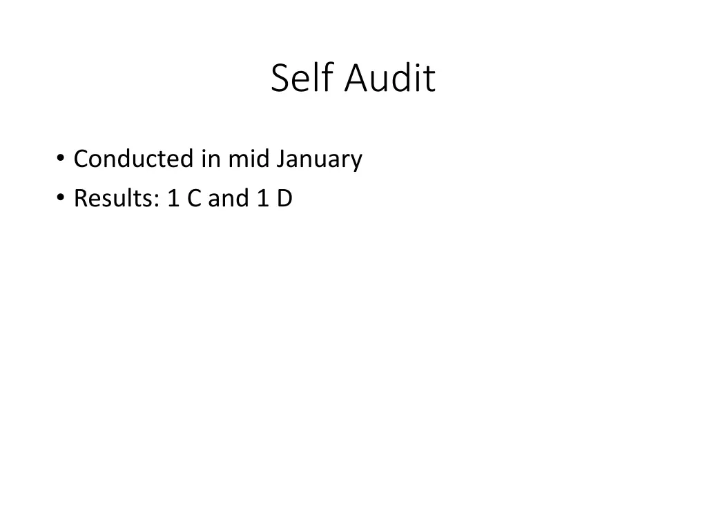 self audit