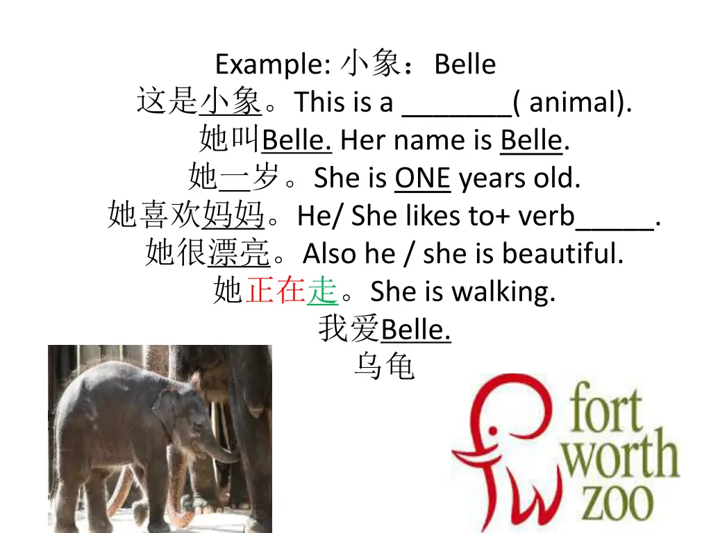 example belle this is a animal belle her name
