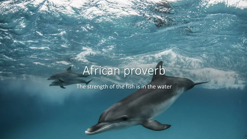 african proverb