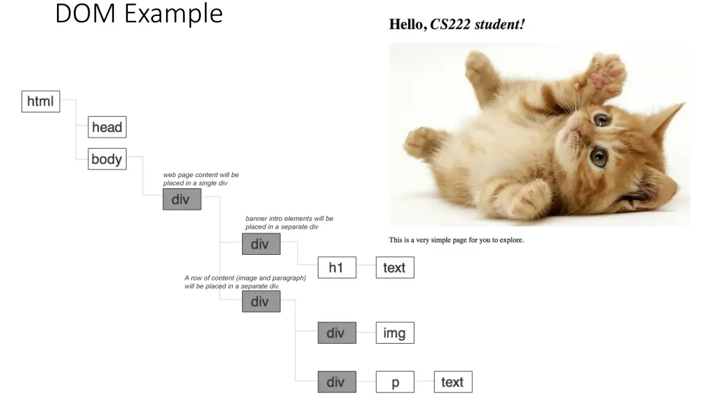 dom example
