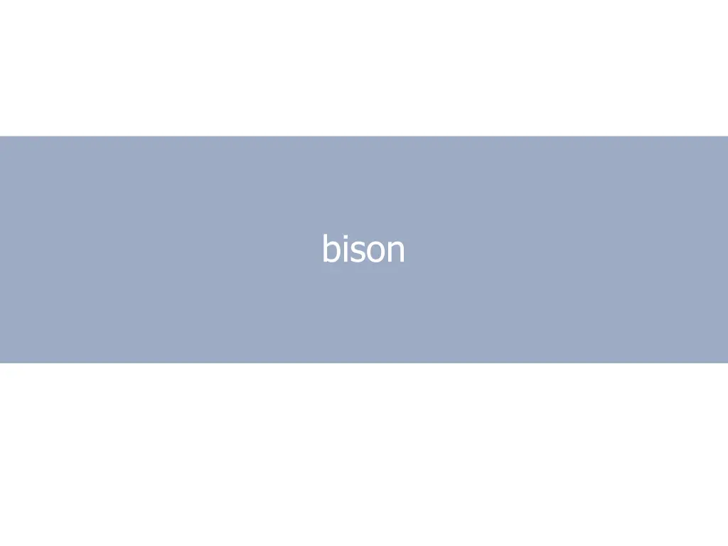 bison