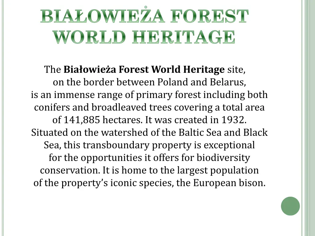 bia owie a forest world heritage