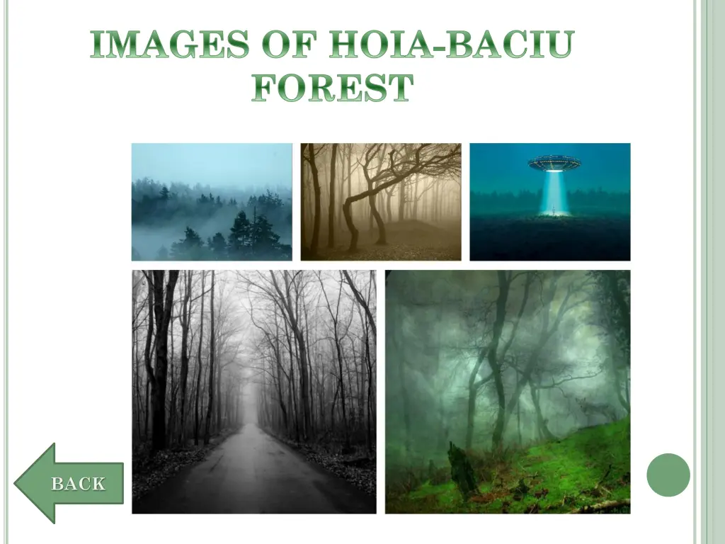 images of hoia baciu forest