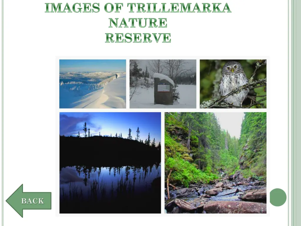 images of trillemarka nature reserve