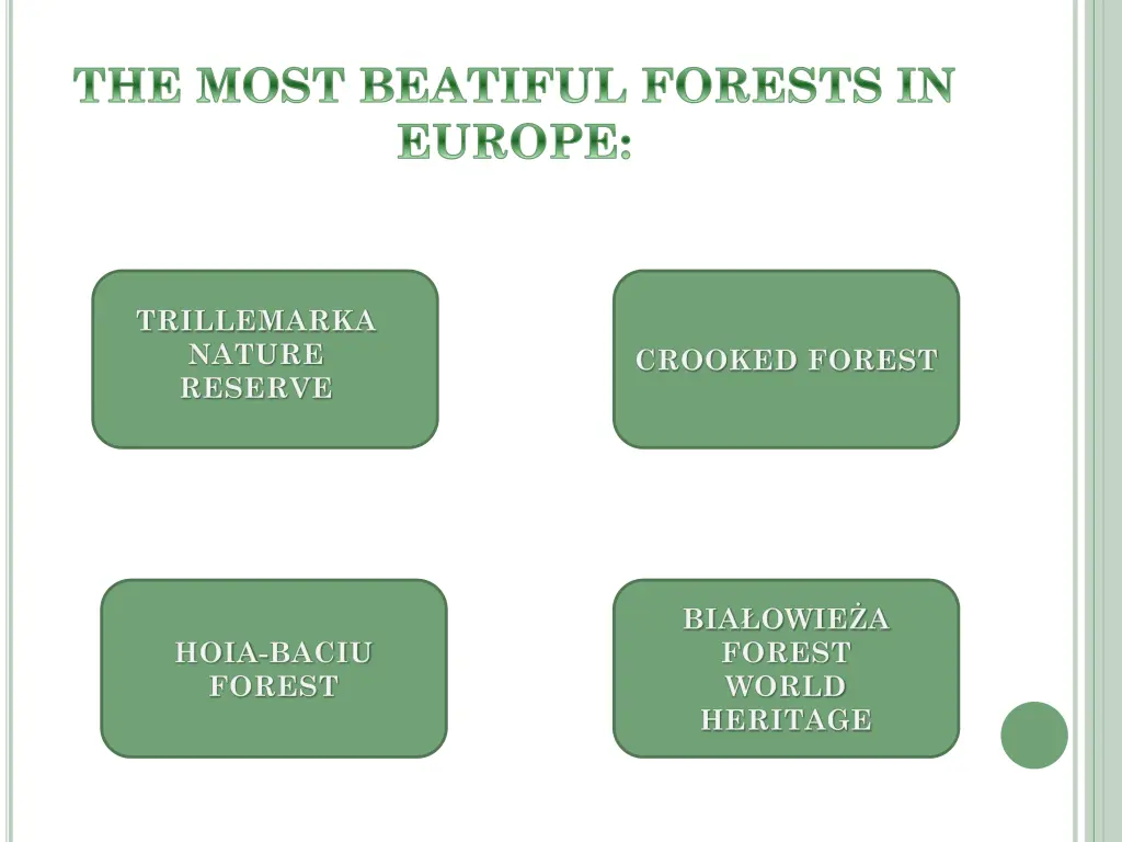 the most beatiful forests in europe