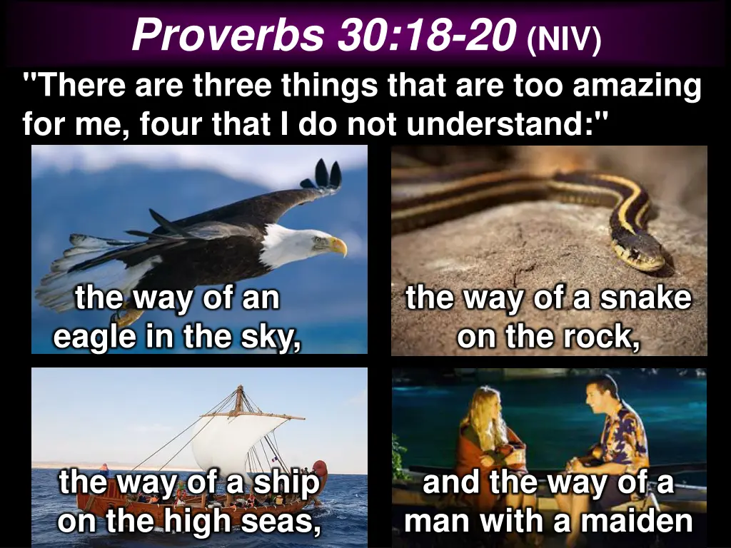 proverbs 30 18 20 niv there are three things that