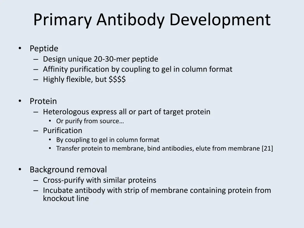 primary antibody development