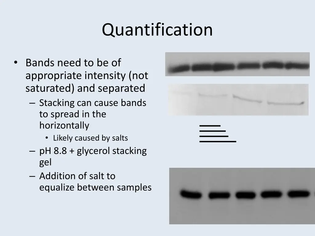 quantification 1
