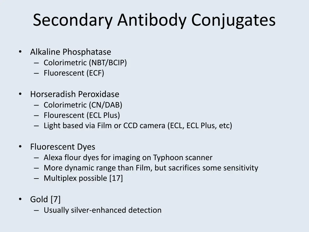 secondary antibody conjugates