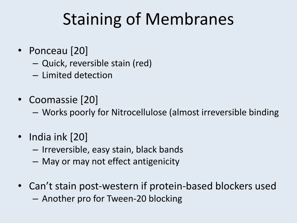 staining of membranes