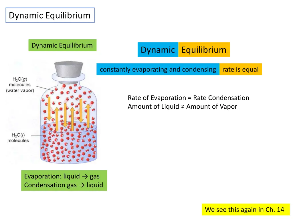 dynamic equilibrium