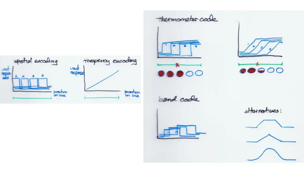 slide21
