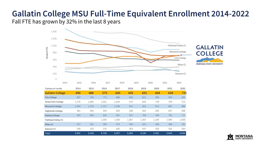 gallatin college msu full time equivalent