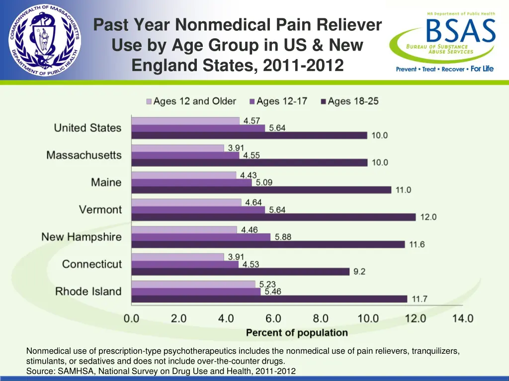 past year nonmedical pain reliever