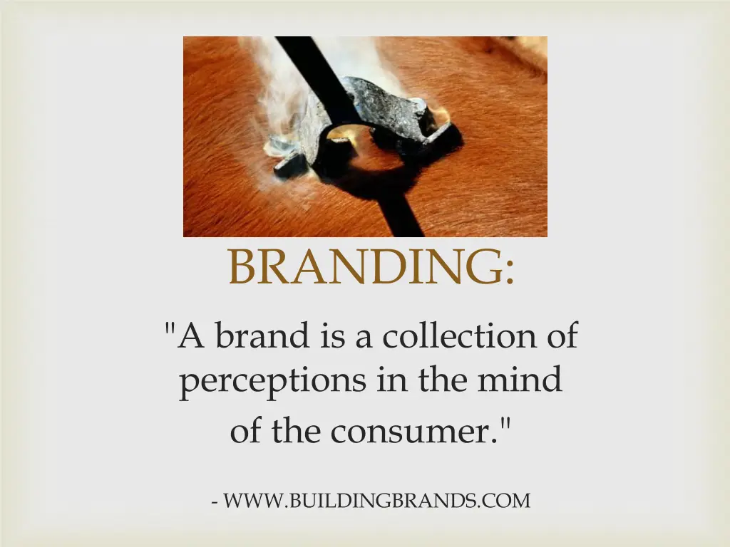 branding a brand is a collection of perceptions