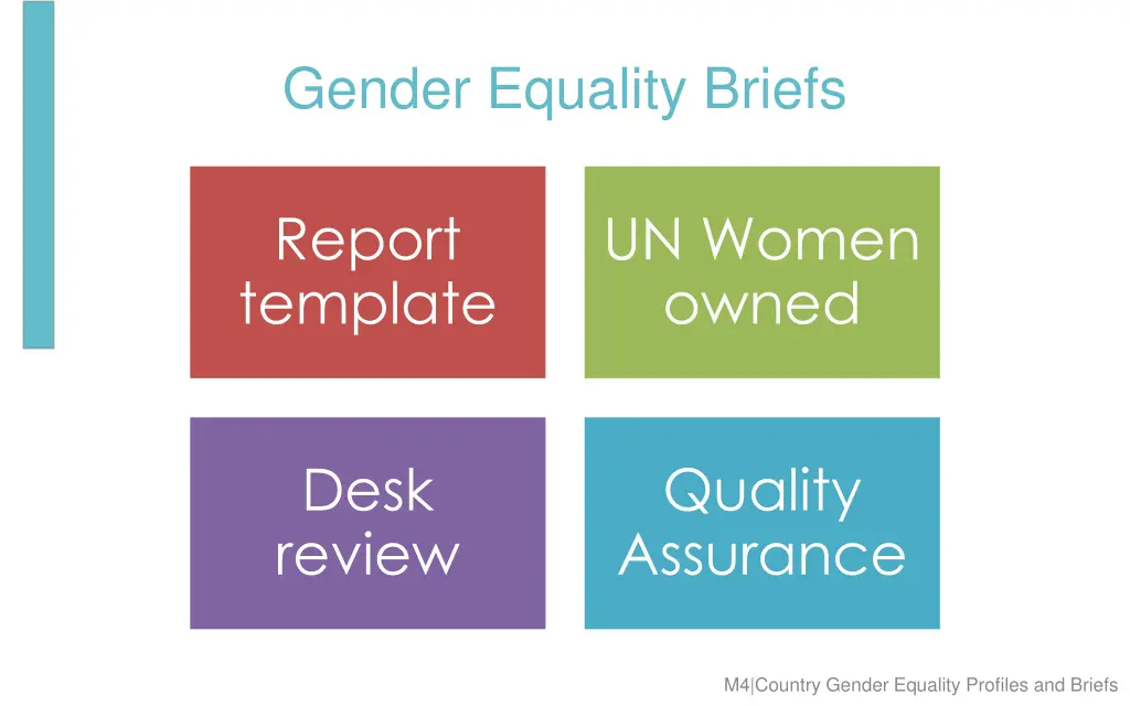 gender equality briefs