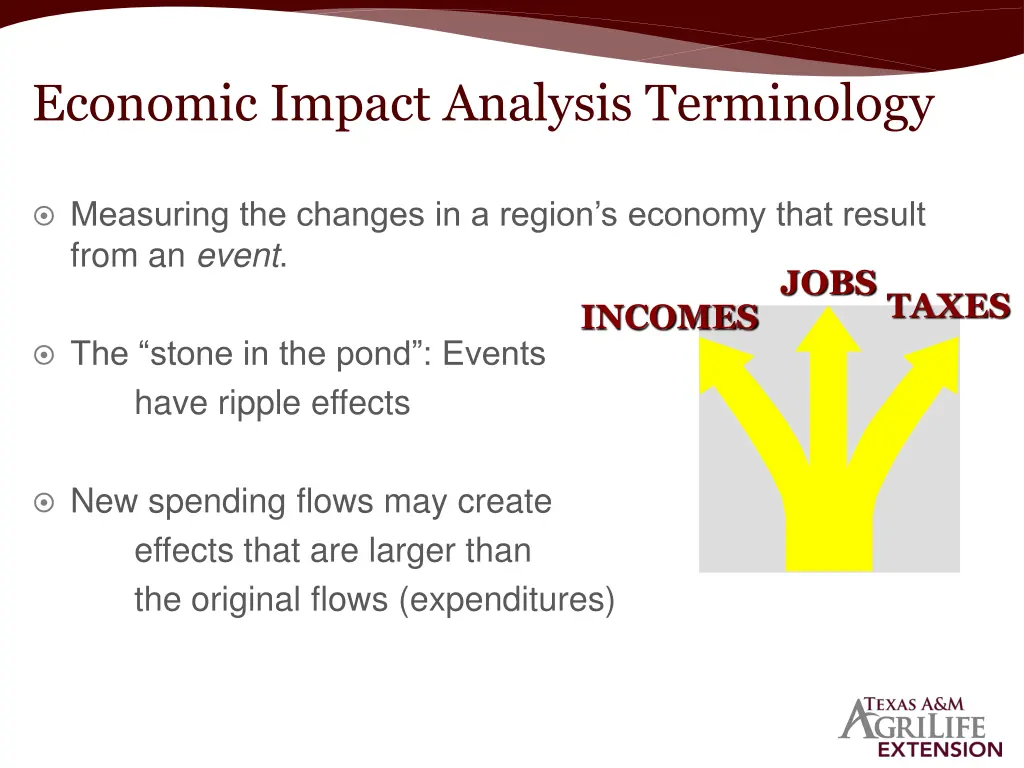 economic impact analysis terminology 1