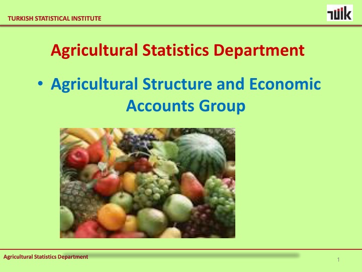 turkish statistical institute turkish statistical