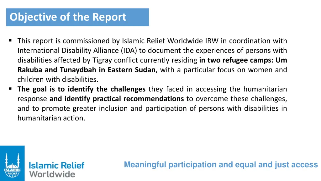 objective of the report