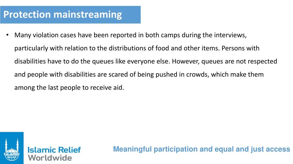protection mainstreaming 1