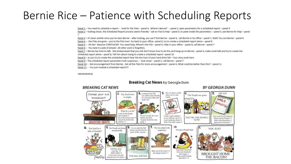 bernie rice patience with scheduling reports