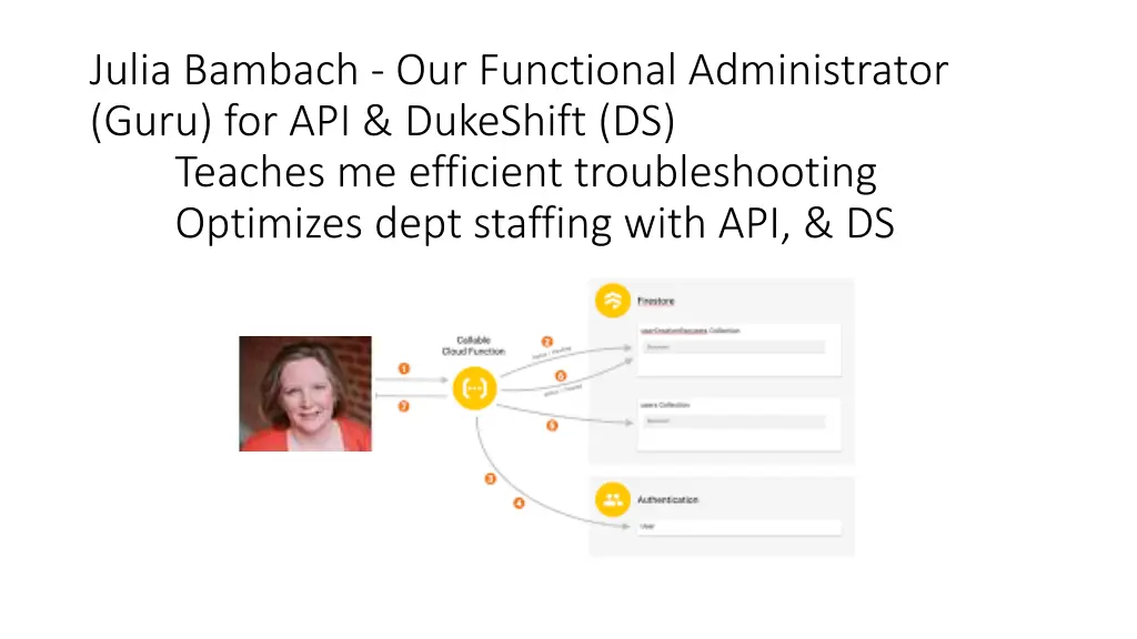 julia bambach our functional administrator guru