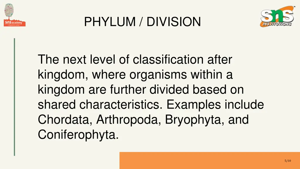 phylum division