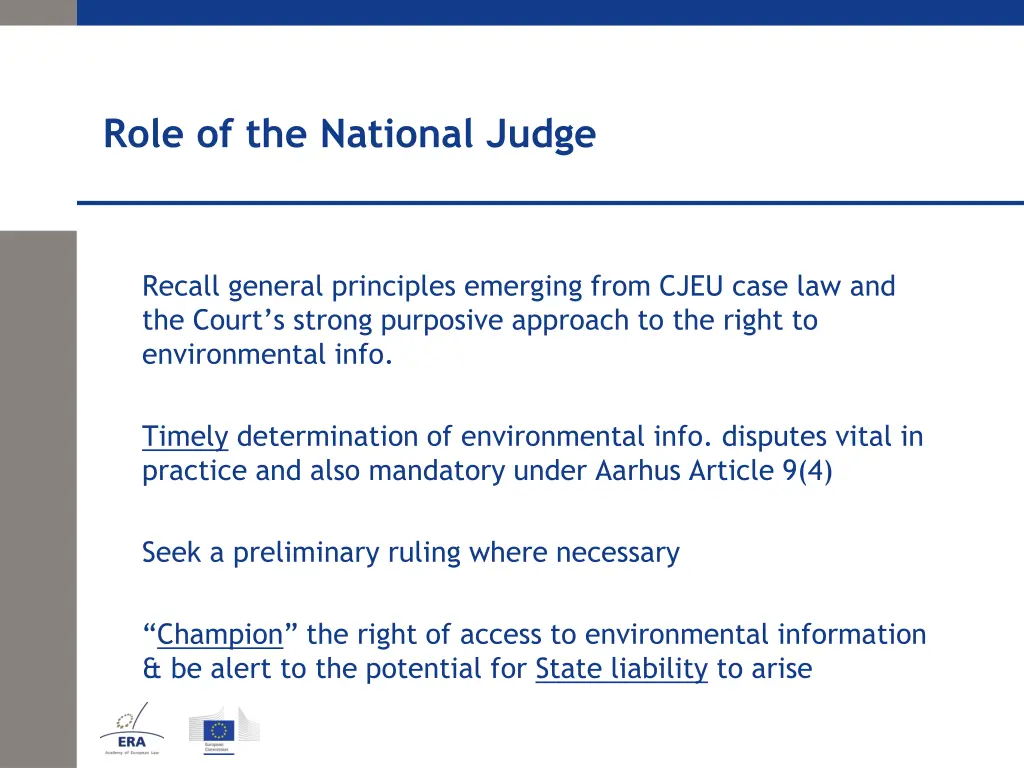 role of the national judge 1