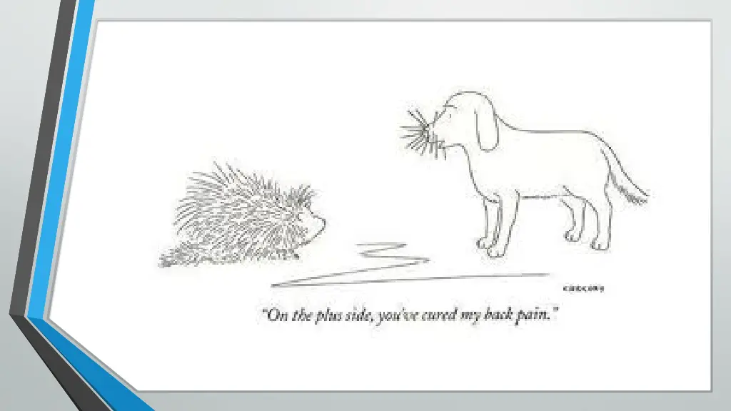 slide17