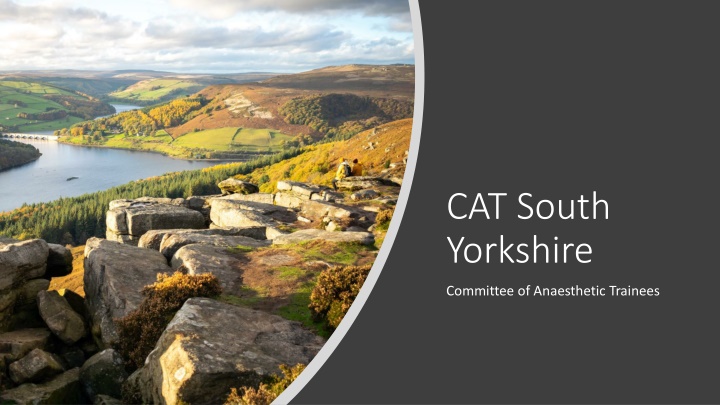 cat south yorkshire
