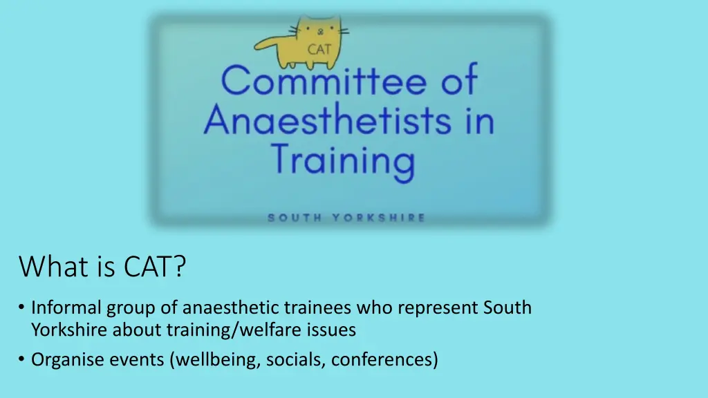 what is cat informal group of anaesthetic