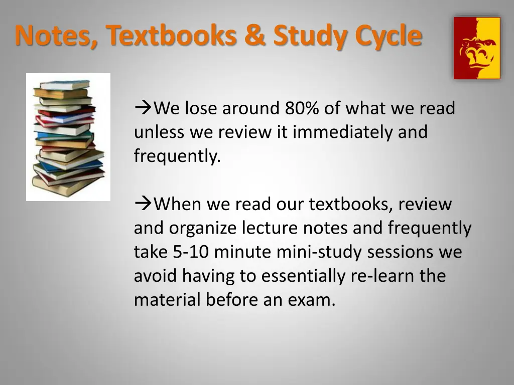 notes textbooks study cycle 1