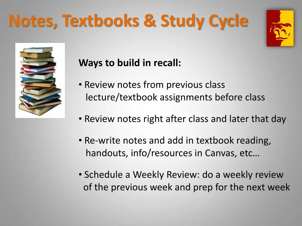 notes textbooks study cycle 2