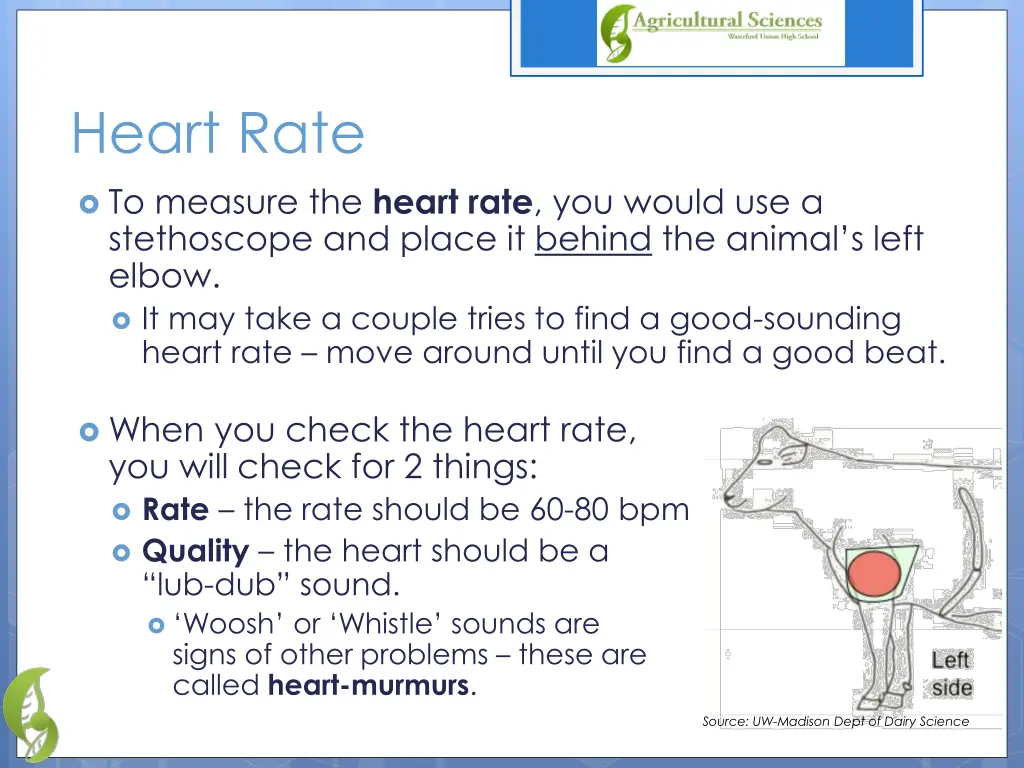 heart rate