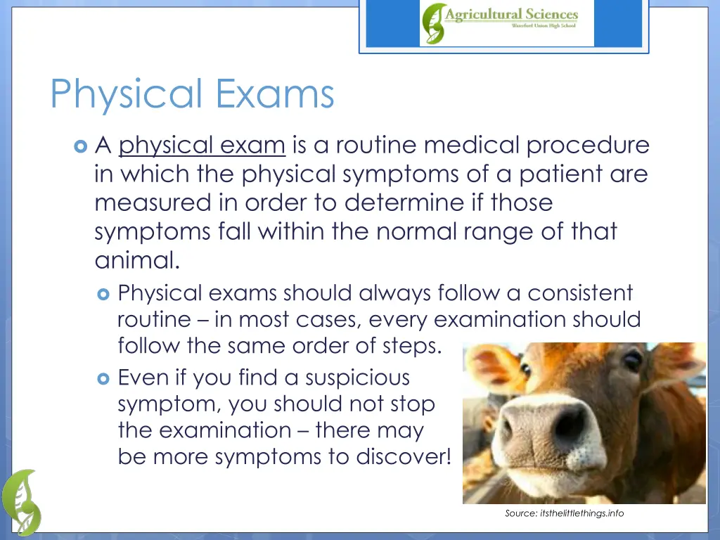 physical exams