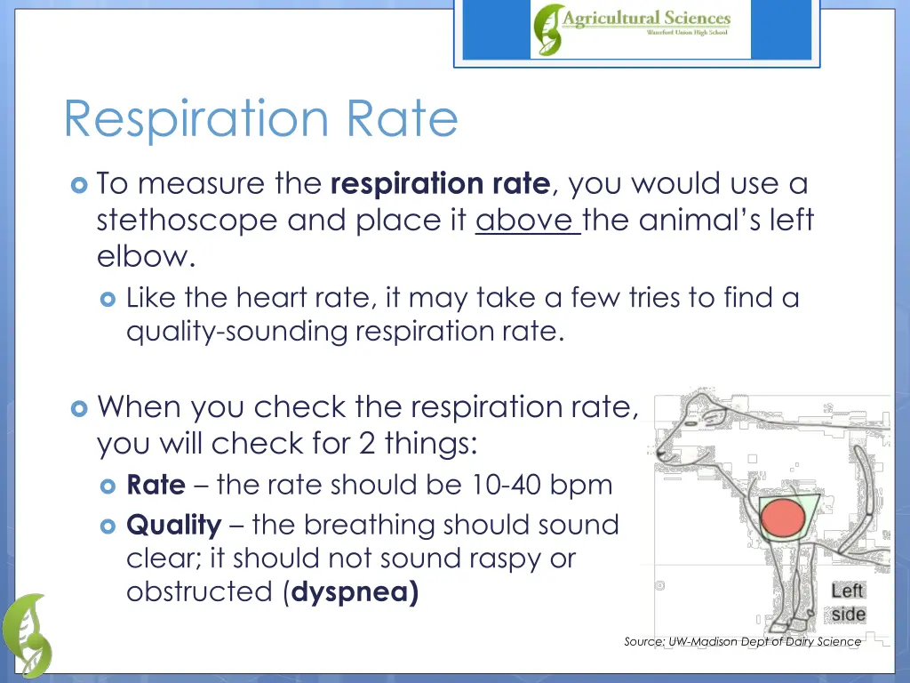 respiration rate