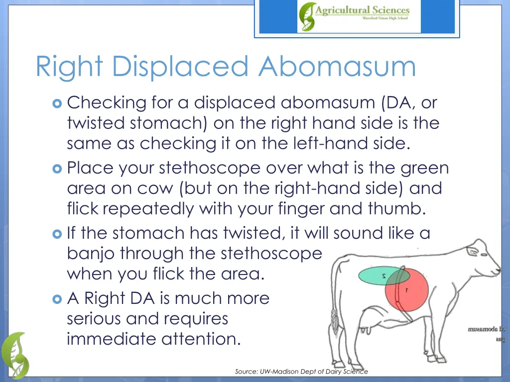 right displaced abomasum