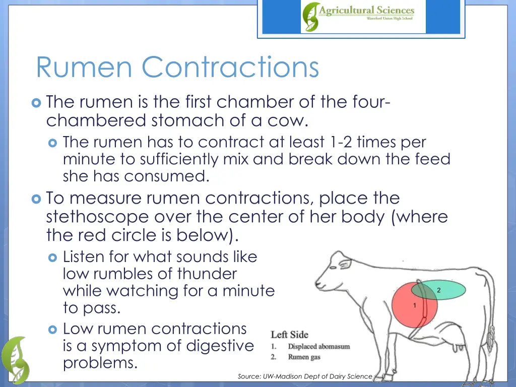 rumen contractions