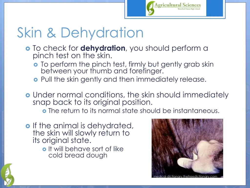 skin dehydration to check for dehydration