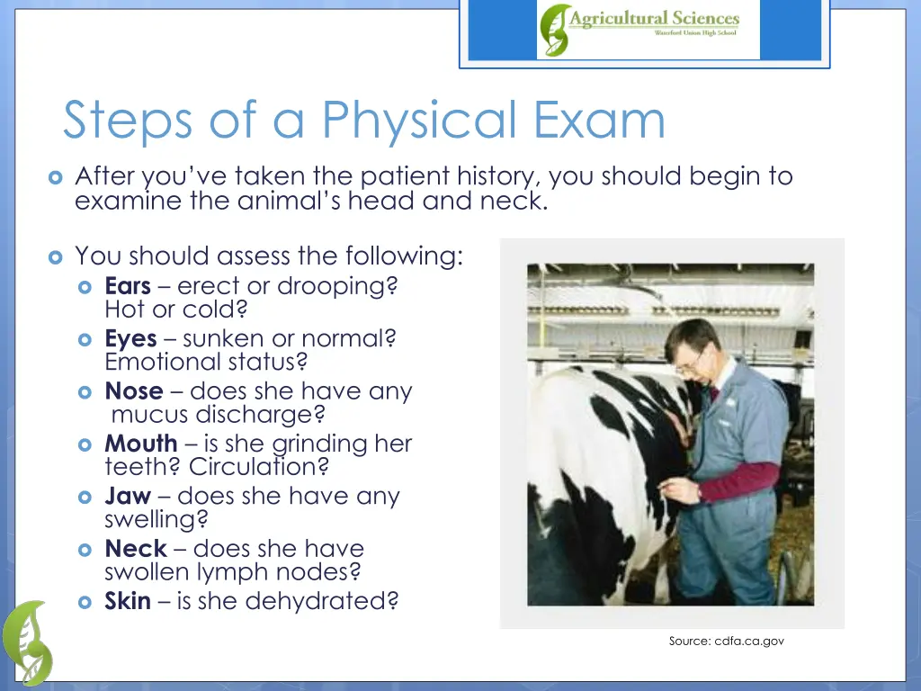 steps of a physical exam 1