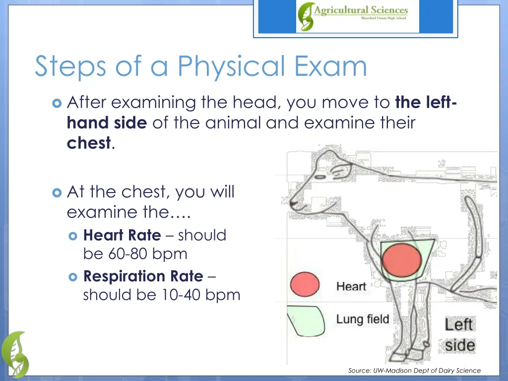 steps of a physical exam 2