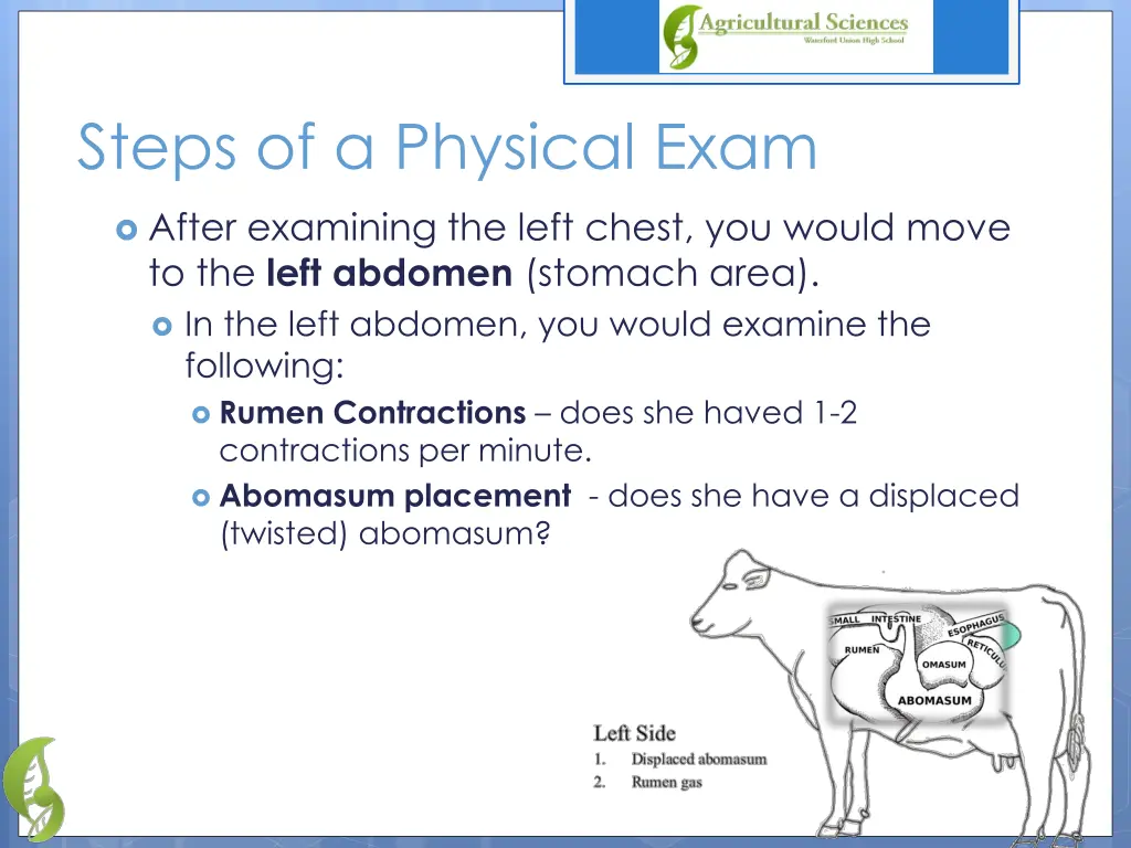 steps of a physical exam 3