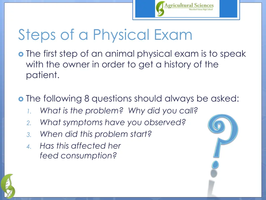 steps of a physical exam